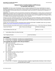 Form DCF-F-2829 National Youth in Transition Database (Nytd) Survey for Wisconsin Youth Age 19 - Wisconsin