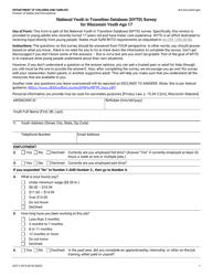 Form DCF-F-2574 National Youth in Transition Database (Nytd) Survey for Wisconsin Youth Age 17 - Wisconsin