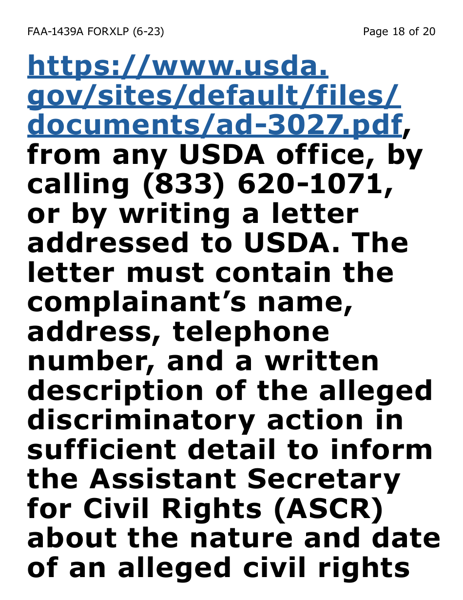 Form FAA-1439A-XLP Self-employment Income Statement - Extra Large Print - Arizona, Page 18