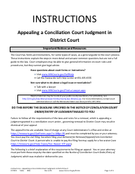Document preview: Form CCT401 Instructions - Appealing a Conciliation Court Judgment in District Court - Minnesota