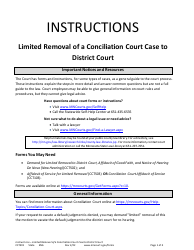 Form CCT501 Instructions - Limited Removal of a Conciliation Court Case to District Court - Minnesota