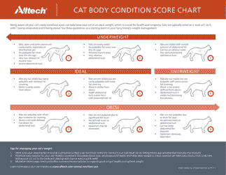 Document preview: Cat Body Condition Score Chart - Alltech