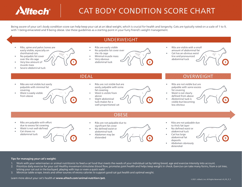 Cat Body Condition Score Chart - Alltech
