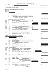 Taxicab Company Annual Financial Report - Nevada, Page 11