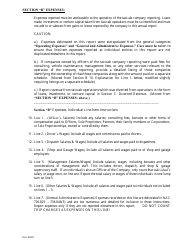 Taxicab Company Annual Financial Report - Nevada, Page 2