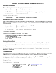 Form 0802-02.01F Warrant Special Handling Request - Minnesota, Page 2