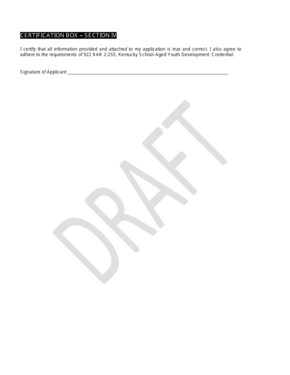 Form DCC-255 Kentucky School-Aged Youth Development Credential Application - Draft - Kentucky, Page 3