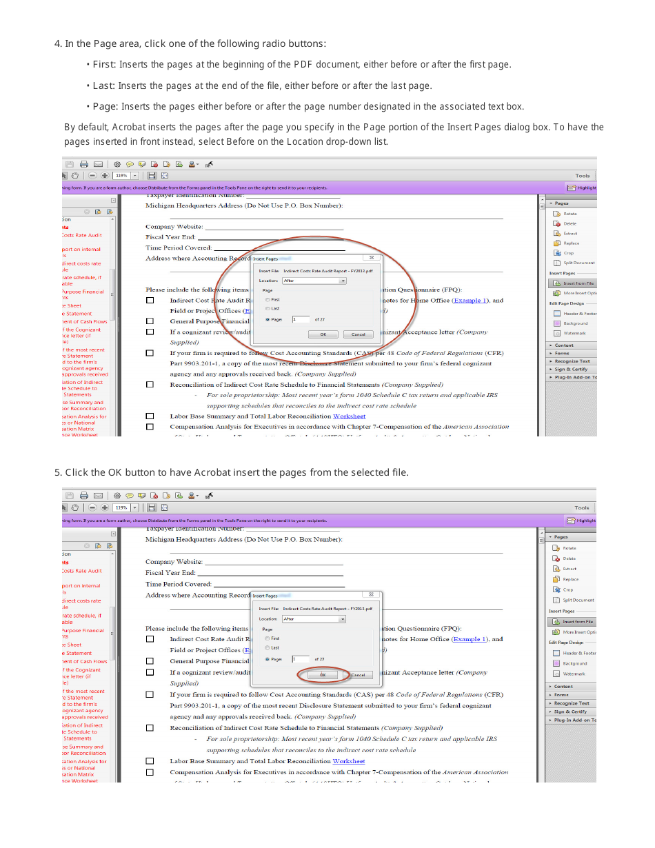 Financial Prequalification Questionnaire for Users of the Safe Harbor Rate - Michigan, Page 4