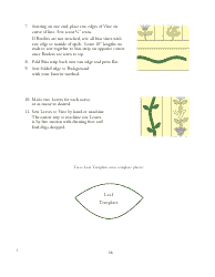 Scallop, Wave, and Vine Quilt Pattern Template, Page 14