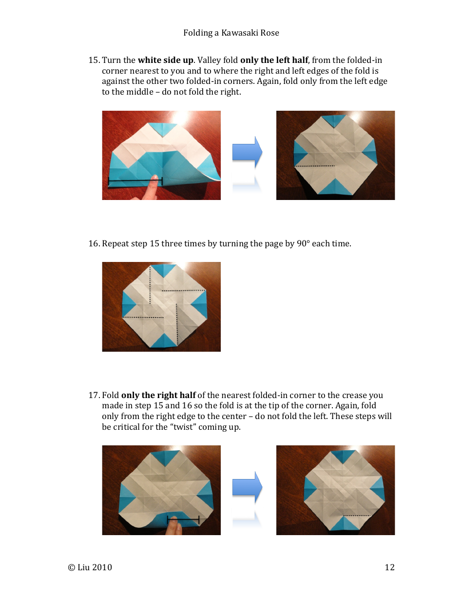 Kawasaki Rose Origami - Liu, Page 12