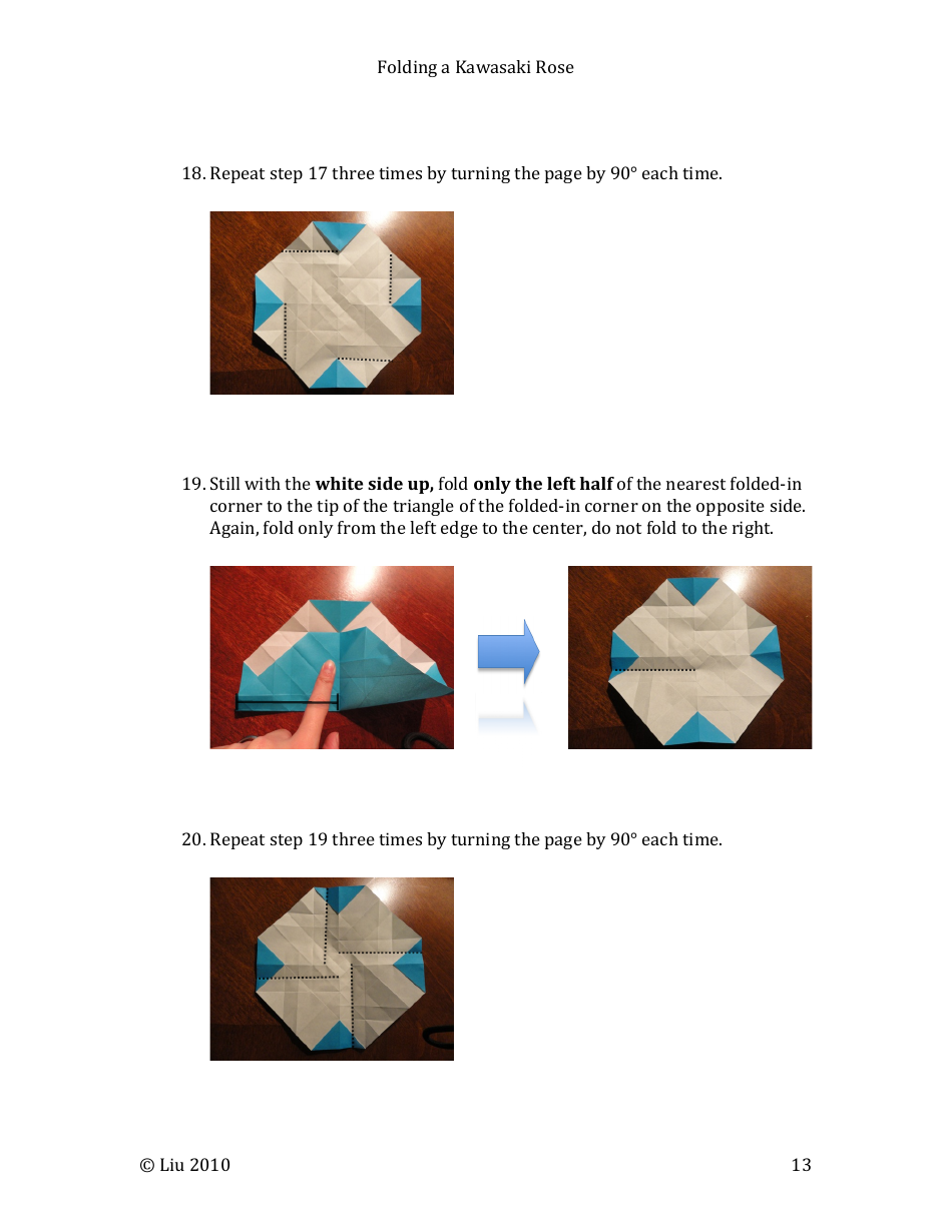 Kawasaki Rose Origami - Liu, Page 13