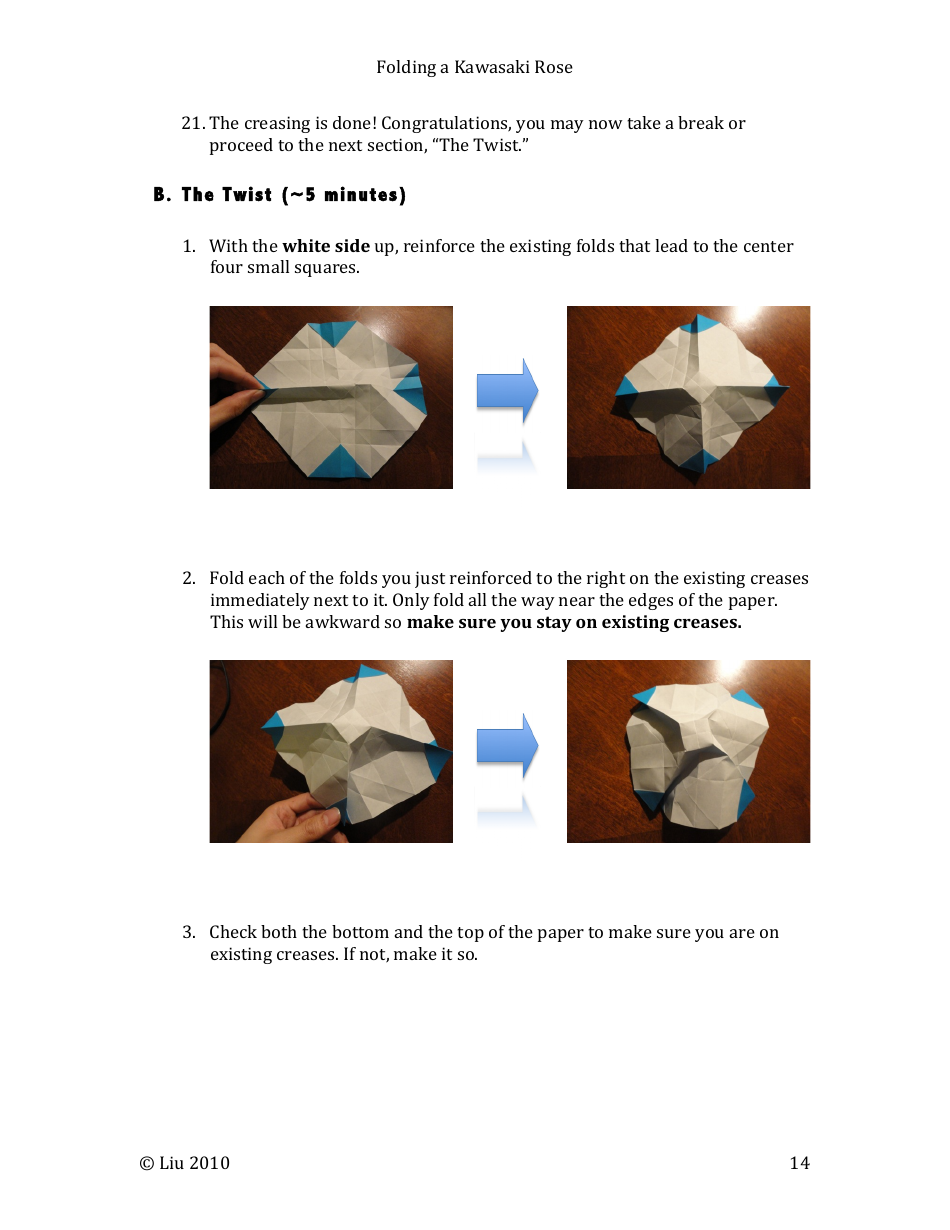 Kawasaki Rose Origami - Liu, Page 14