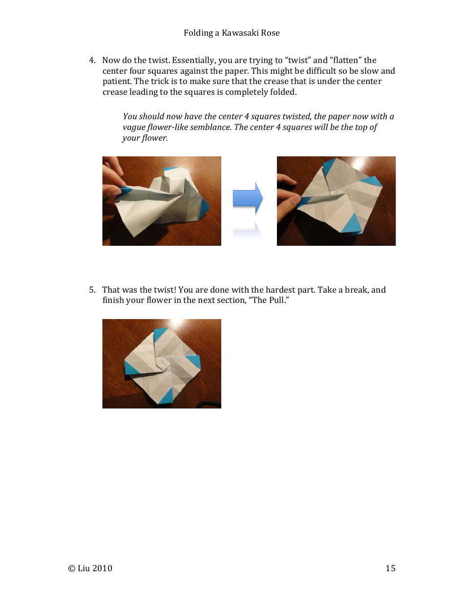 Kawasaki Rose Origami - Liu, Page 15