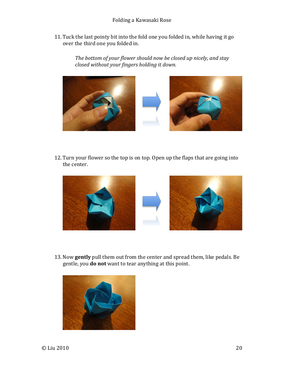 Kawasaki Rose Origami - Liu, Page 20