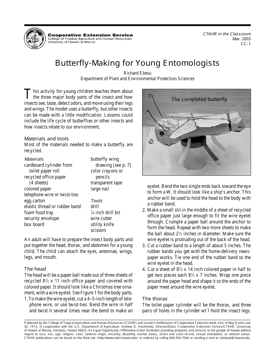 Young Entomologists Butterfly Craft Templates - TemplateRoller