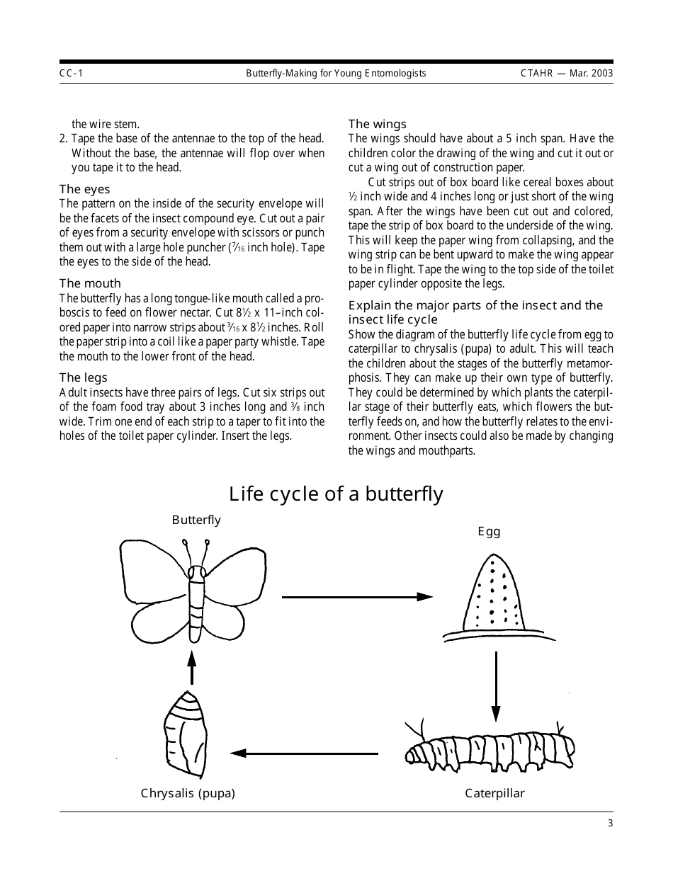 Young Entomologists Butterfly Craft Templates, Page 3