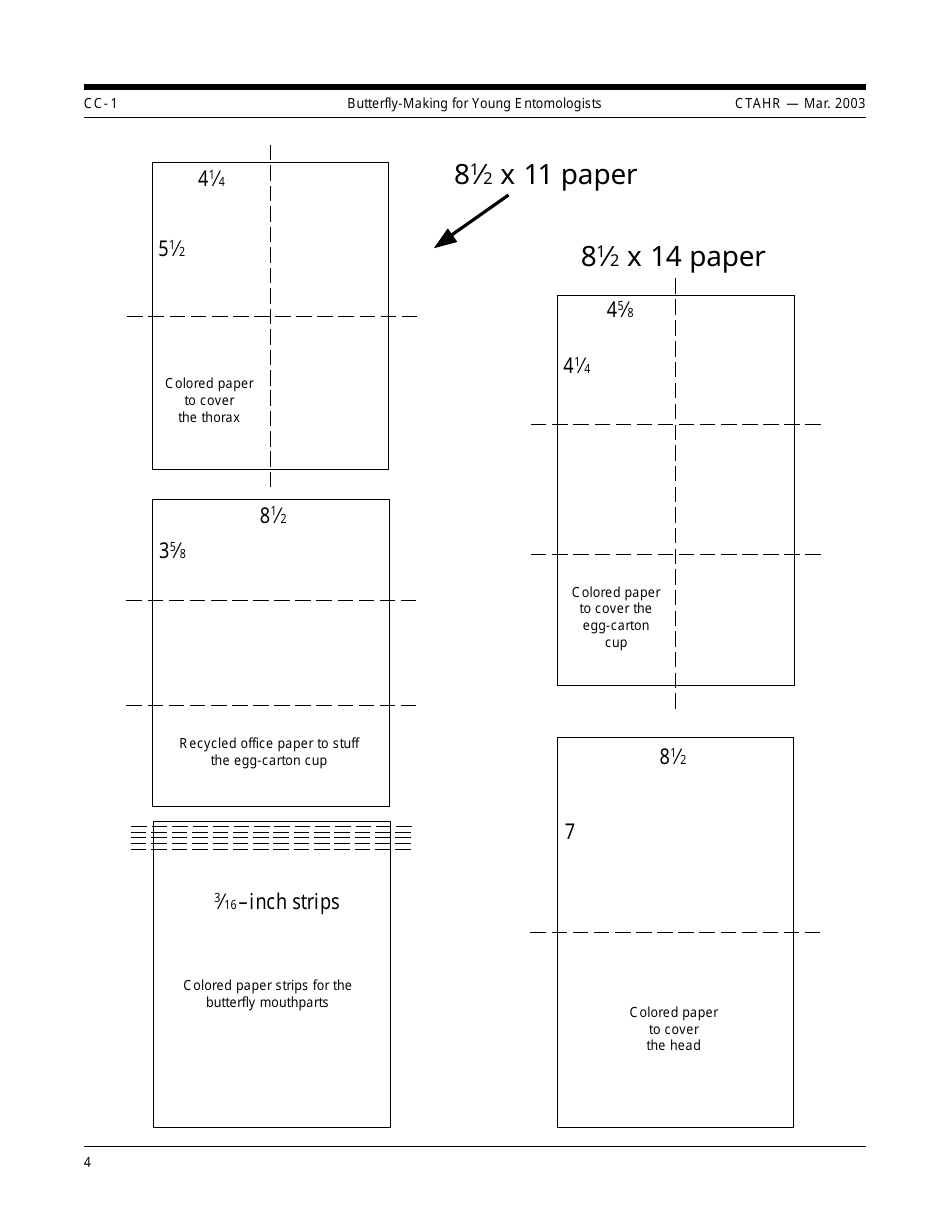 Young Entomologists Butterfly Craft Templates, Page 4