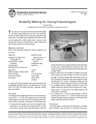 Document preview: Young Entomologists Butterfly Craft Templates