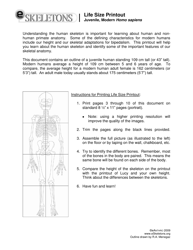 Document preview: Life Size Paper Skeleton Template - Eanthro