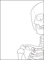 Life Size Paper Skeleton Template - Eanthro, Page 2