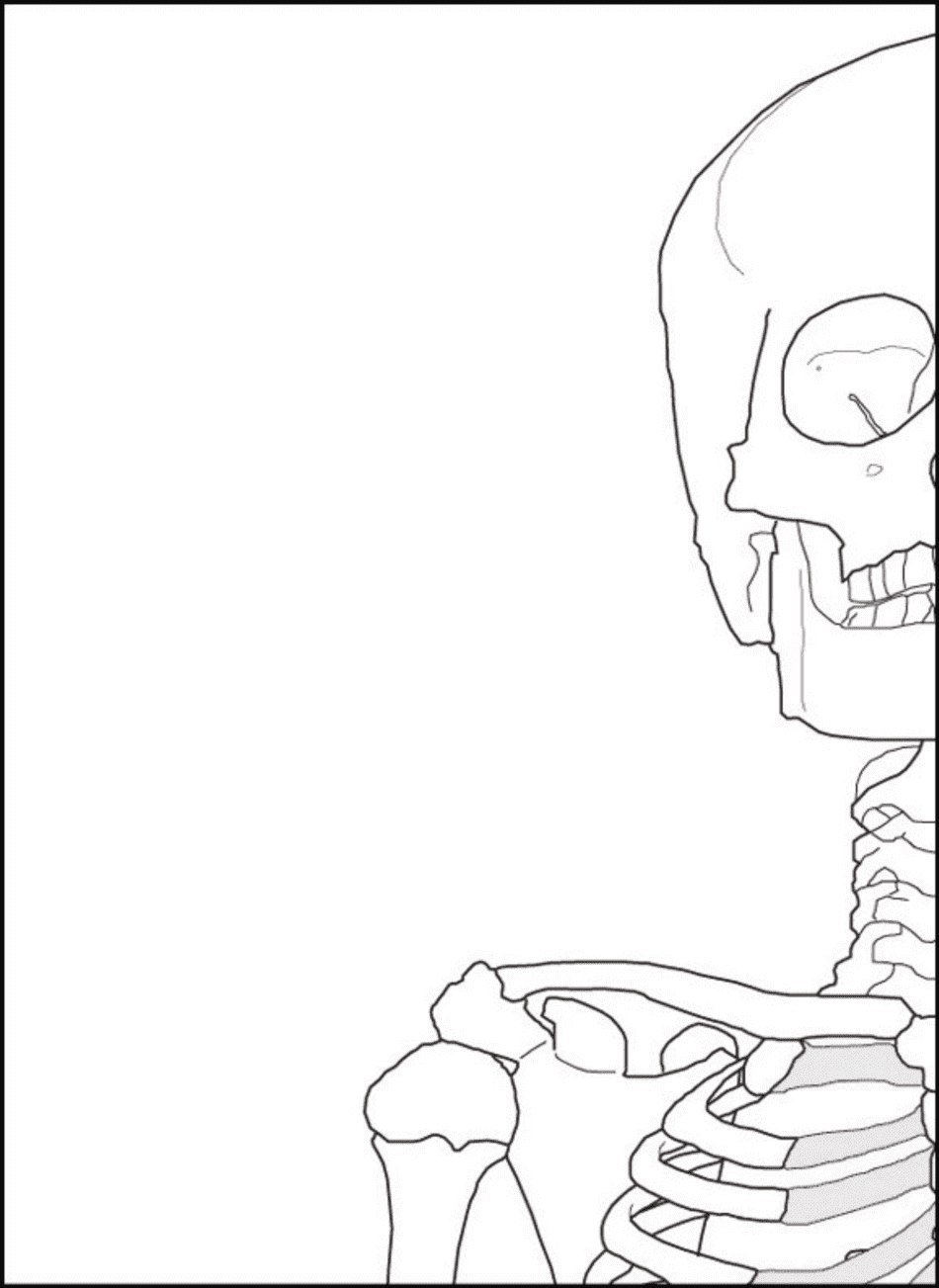 Life Size Paper Skeleton Template - Eanthro, Page 2