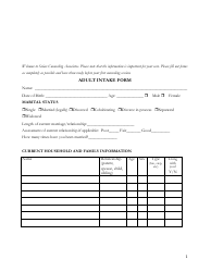 Adult Intake Form - Patient