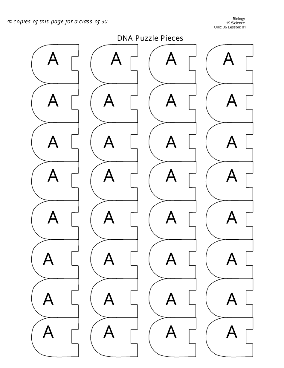 Dna Puzzle Piece Templates Download Printable Pdf Templateroller