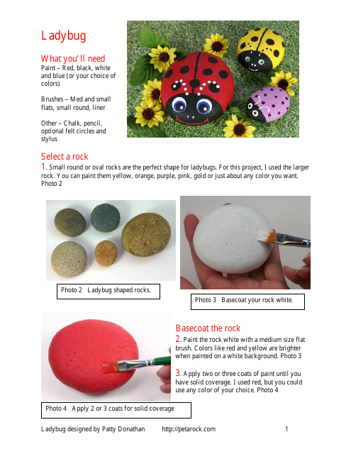 Ladybug Rock Pattern Designs - Preview Image