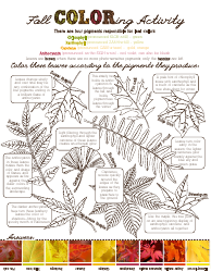Document preview: Fall Coloring Activity