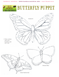 Butterfly Puppet Templates, Page 2