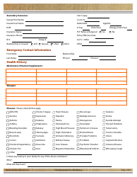 Patient Intake Form - Body Shop Chiropractic, Page 2