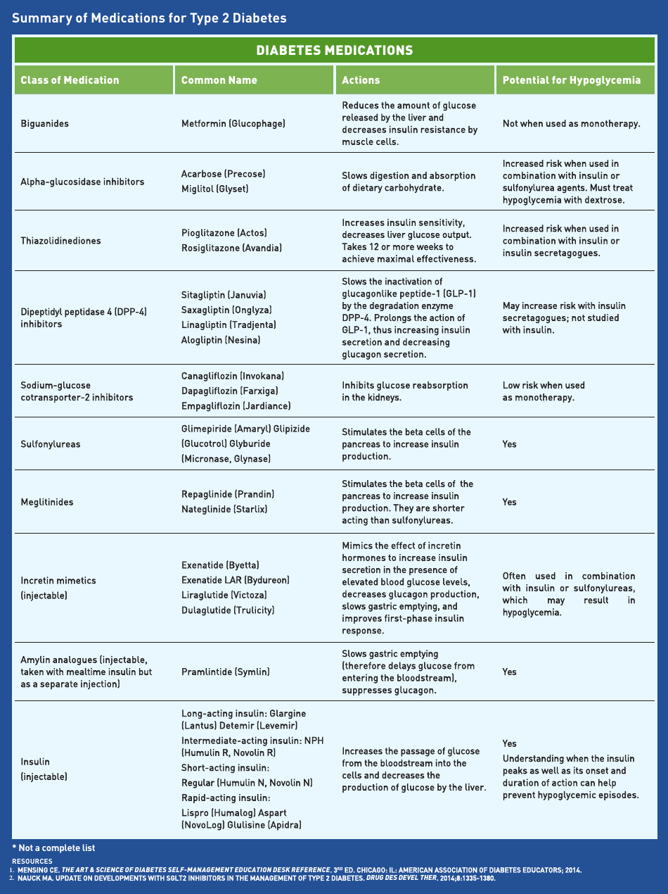Type 2 Diabetes Medications Summary Sheet document preview image
