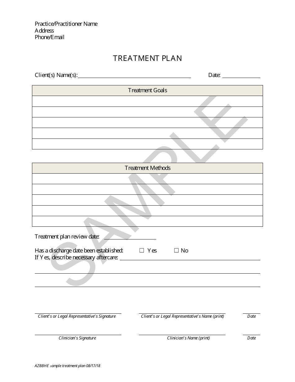 Treatment Plan - Sample Preview