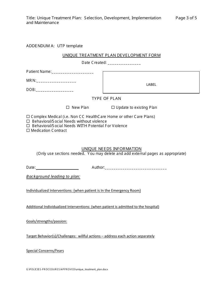 Unique Treatment Plan Development Form - Minnesota, Page 3