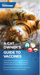 Document preview: Cat Vaccination Schedule - Zoetis