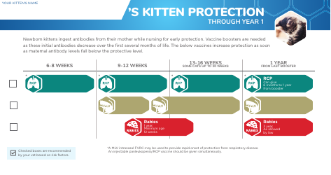 Cat Vaccination Schedule - Zoetis, Page 2