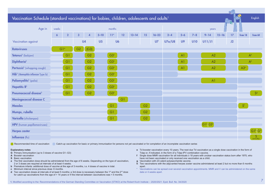 Vaccination Schedule (Standard Vaccinations) for Babies, Children, Adolescents and Adults
