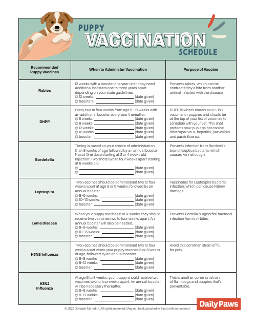Puppy Vaccination Schedule - Dotdash Meredith