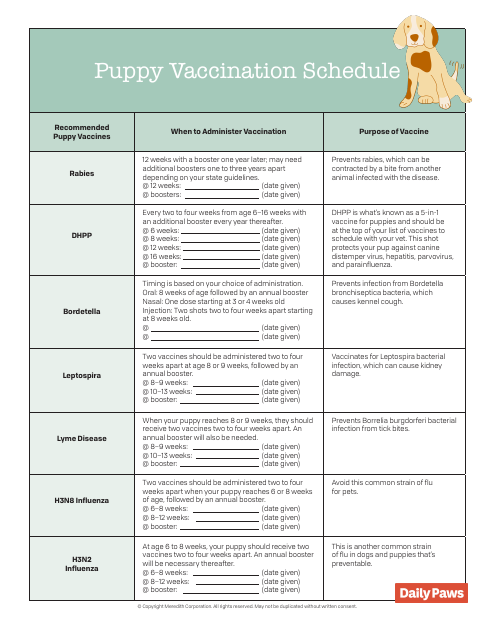 Puppy Vaccination Schedule - A Guide for Keeping Your Puppy Healthy and Protected