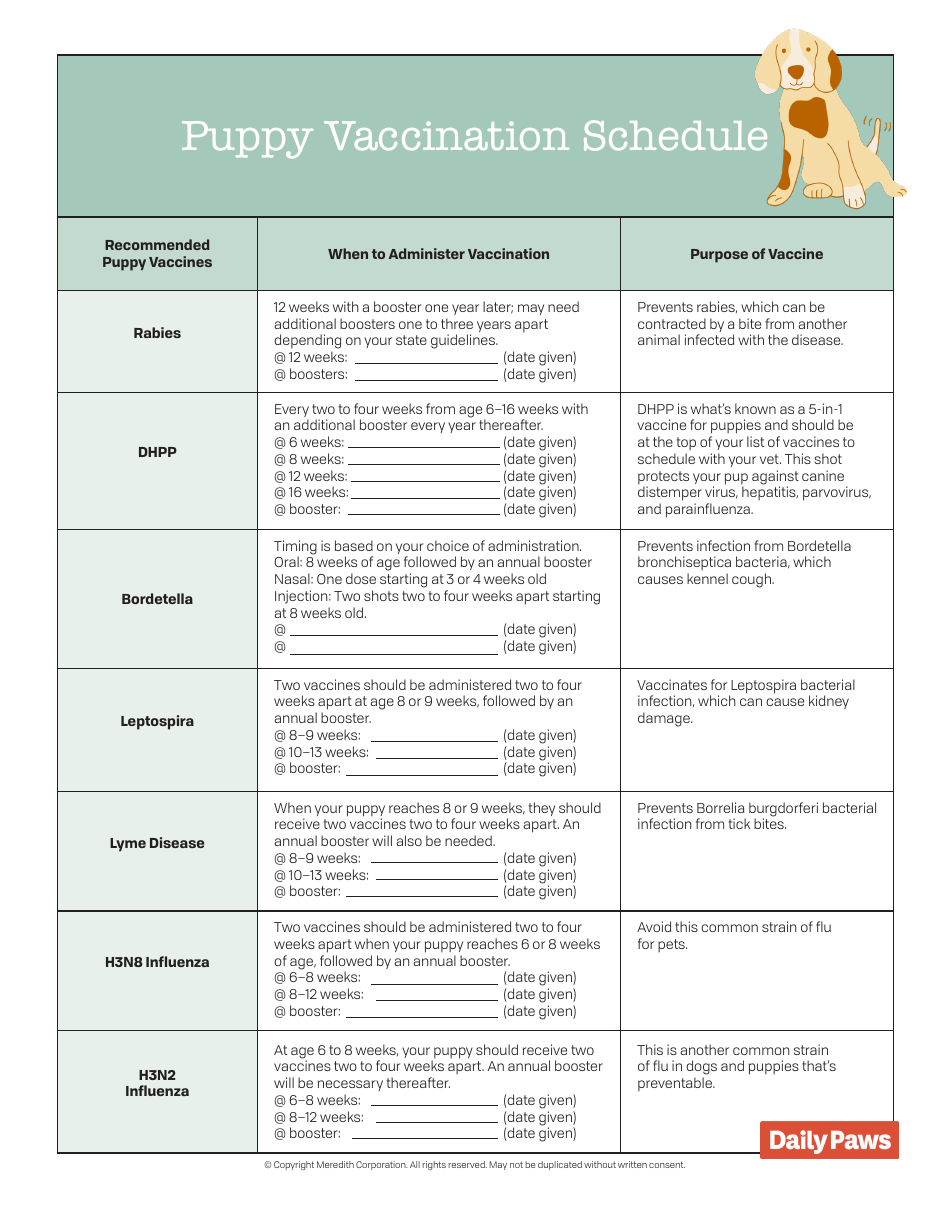 Puppy Vaccination Schedule - Meredith Corporation Download Printable ...