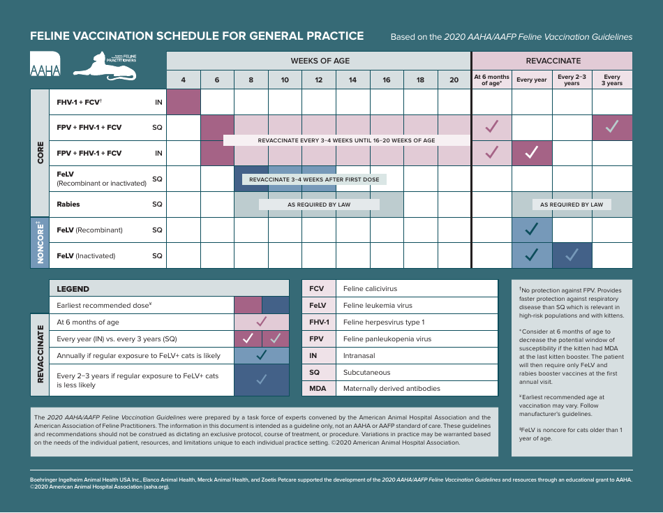 Feline Vaccination Schedule For General Practice - American Animal 