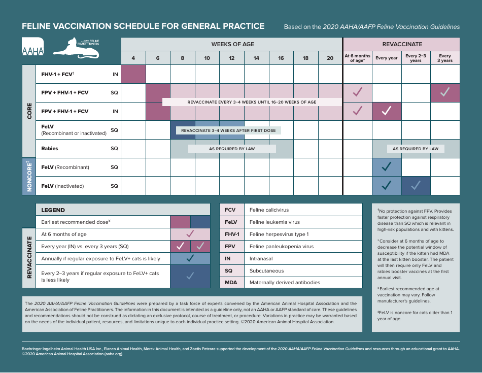 Feline Vaccination Schedule for General Practice