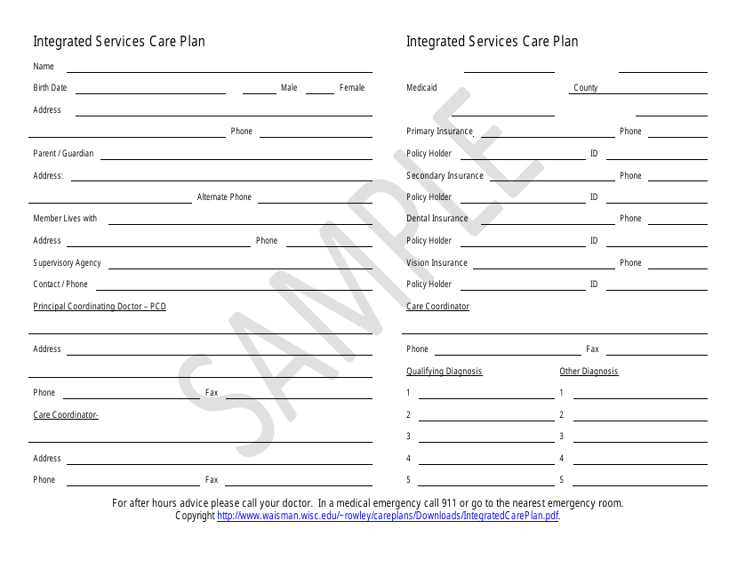 Image preview of the Integrated Services Care Plan document from the Waisman Center