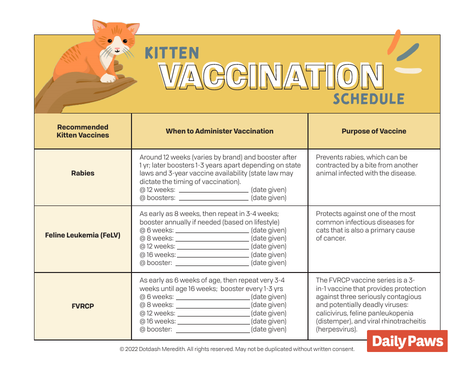 Kitten Vaccination Schedule Dotdash Meredith Download Printable PDF