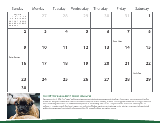 Monthly Animal Health Calendar - University of Saskatchewan, Page 11