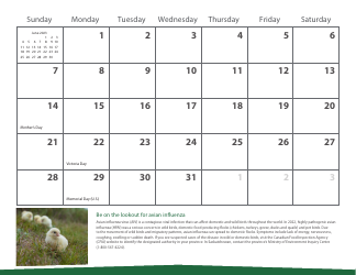 Monthly Animal Health Calendar - University of Saskatchewan, Page 13