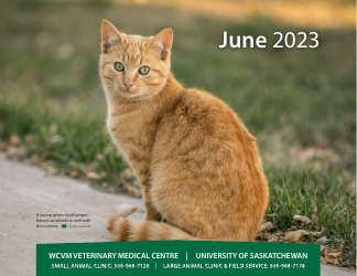 Monthly Animal Health Calendar - University of Saskatchewan, Page 14