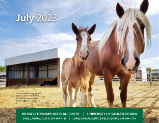 Monthly Animal Health Calendar - University of Saskatchewan, Page 16