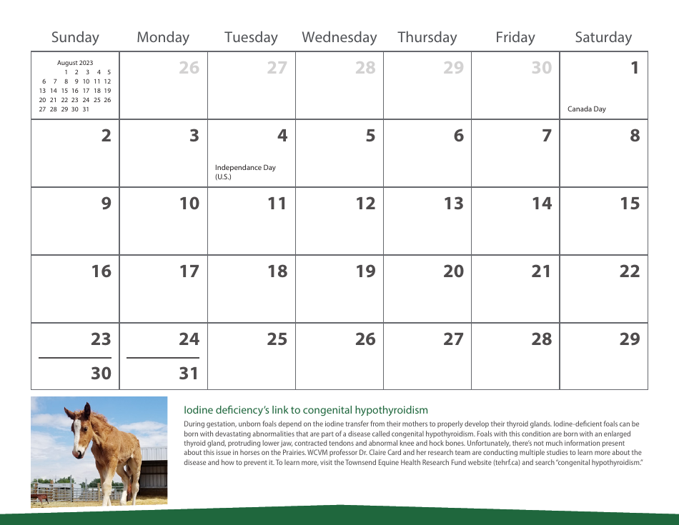 Monthly Animal Health Calendar - University of Saskatchewan, Page 17