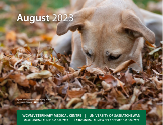 Monthly Animal Health Calendar - University of Saskatchewan, Page 18